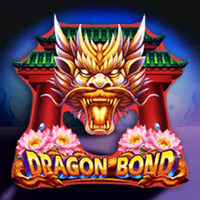  Dragon Bond
